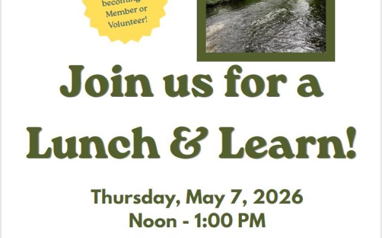 Lunch and learn